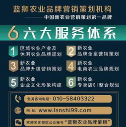 數(shù)字田野的耕耘之道 藍(lán)獅策劃互聯(lián)網(wǎng)+農(nóng)業(yè)市場(chǎng)的營銷策略解析